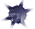 Western Astrology